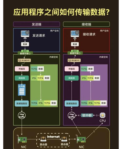 个人互联网服务 定义、生态与未来趋势